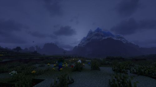 遭遇挑战的成长历程