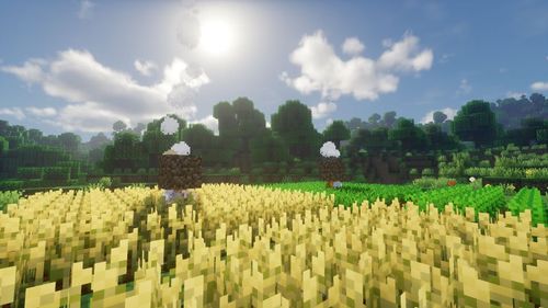 努力耕耘的丰收喜悦