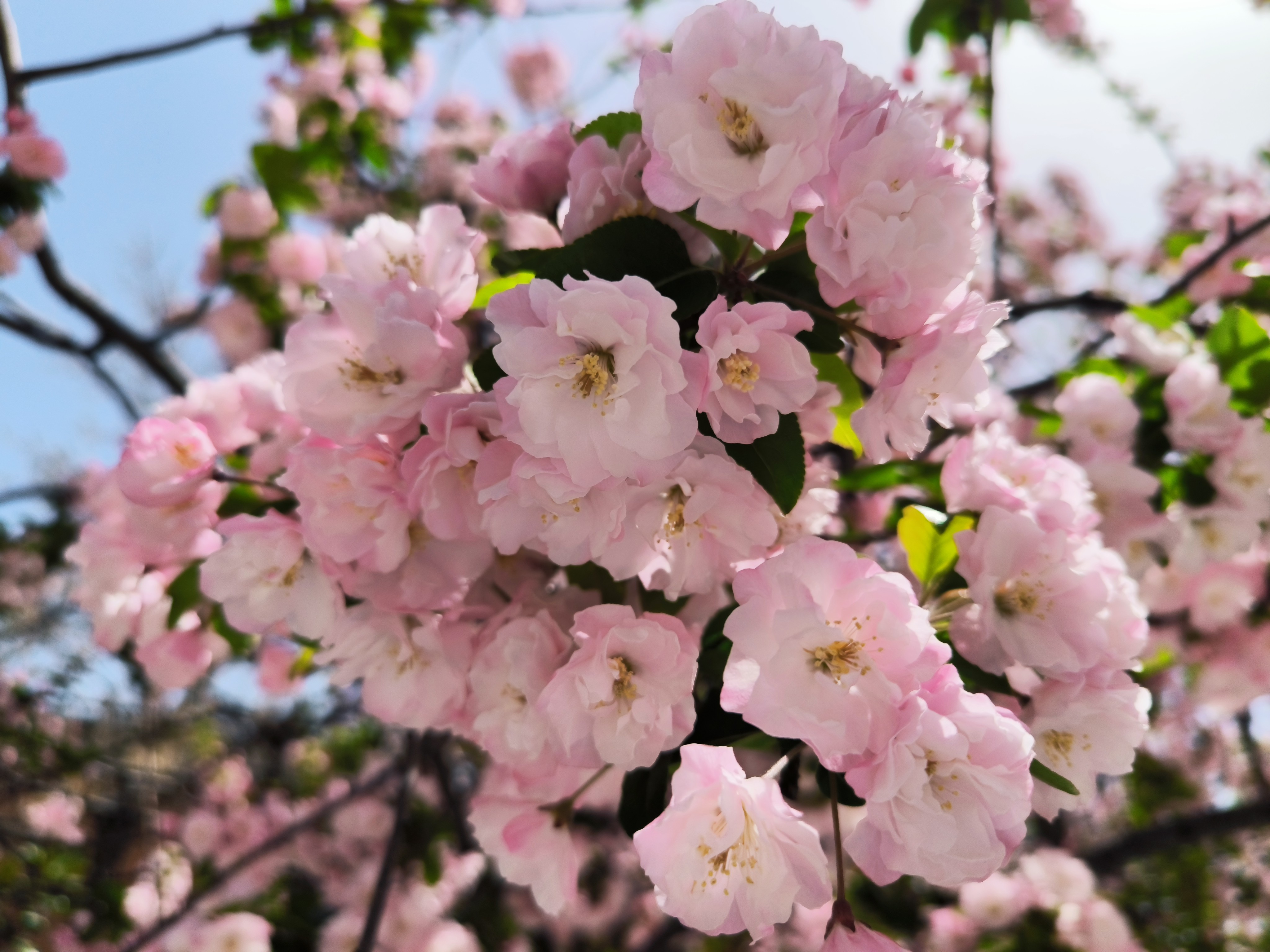 Cover Image of the Post